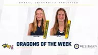 Dragon of the Week: Hamers and Kavounov