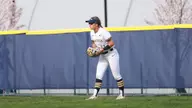 Dragons Upended by Towson