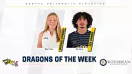 Dragon of the Week: Kavounov and Shannon