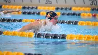 Women's Swimming and Diving Fall to Penn 178-119