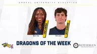 Dragon of the Week: Lemongo and Crawford