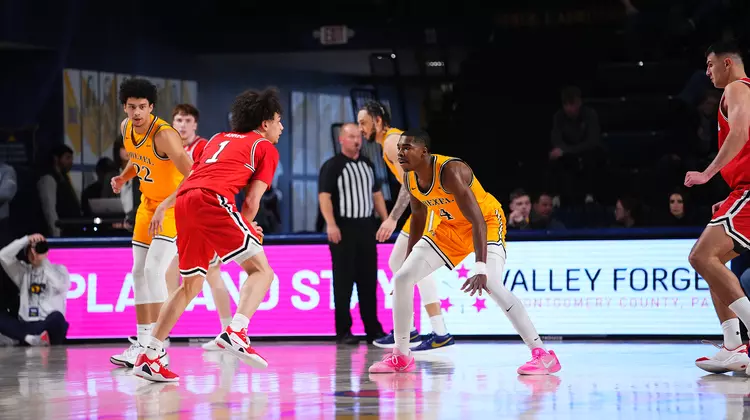 Shane vs Northeastern