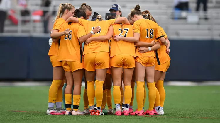 wsoc