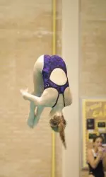 Swimming And Diving Teams Sweep Dual Meet From College of Charleston