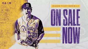 Baseball Ticket Renewals on Sale