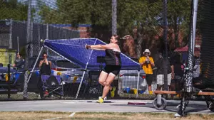 T&F