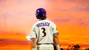 Whitaker