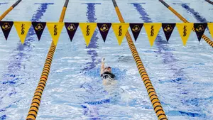 Swim and Dive Newcomer Release
