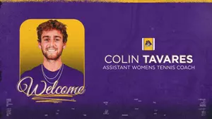 Colin Tavares Hire Graphic