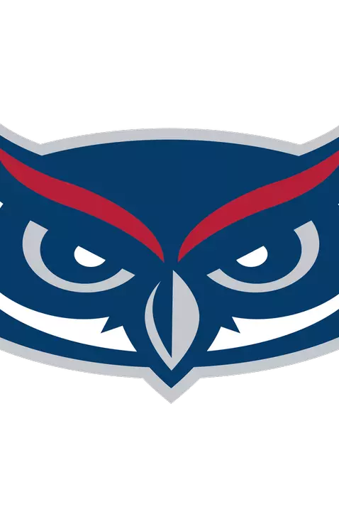 Owl logo