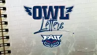 Owl Letters - Radka Buzkova