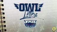 Owl Letters - Natalia Boltinskaya