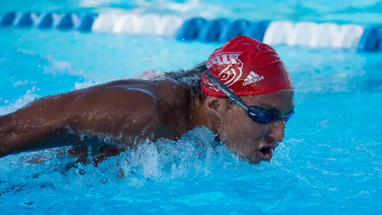 Swimming & Diving Falls to Florida