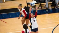 Owls Drop Series to Charlotte