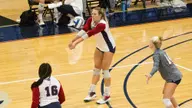 Owls Unable to Climb Past Tops