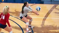FAU Drops Home Series to Marshall