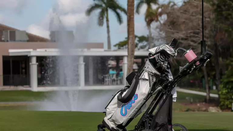 Five Owls Named WGCA All-American Scholars