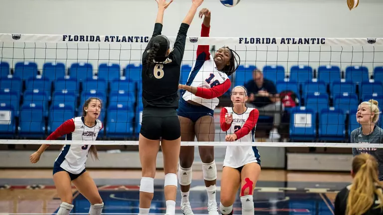 Owls Fall Twice on Day 2 of Sunshine Challenge Cup