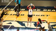 Owls to Host Paradise Classic