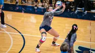 FAU falls in five-set heartbreaker against FIU