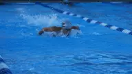 Owls Complete Home Meet Against Nova Southeastern