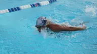 Owls Take on Dual Meet