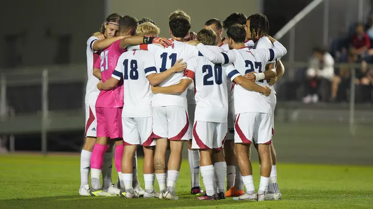 Owls Fall on the Road at Temple