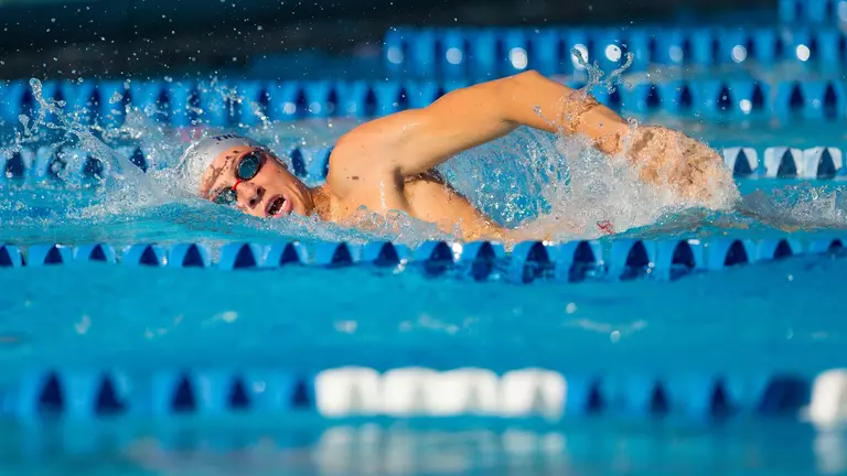 Owls to Host FAU Fun Invite