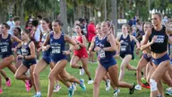 Owls to Compete in the FSU XC Invite