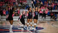 Owls Upset Conference Leader South Florida Sunday, 3-1