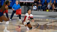 Owls Set for Split Weekend Against Memphis & Temple