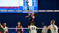Owls Fall in Four at South Florida