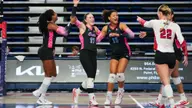 Owls Sweep Temple