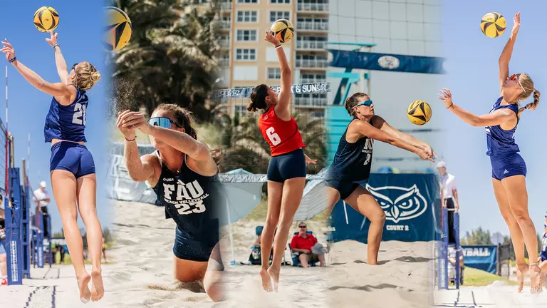 Five Sandy Owls Earn CSC Academic All-District Honors