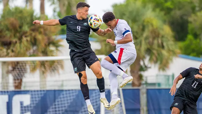 Owls Face Temple in Sunday Matinee