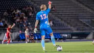 Owls Host FGCU in Non-Conference Tilt