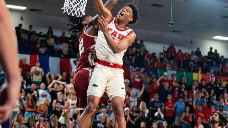 Owlflics of the Week