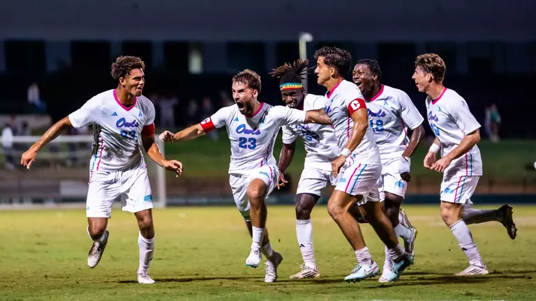 Owlflics of the Week