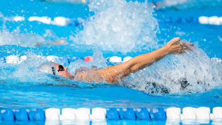 Owls Complete Tri-Meet and Men’s Diving Competition