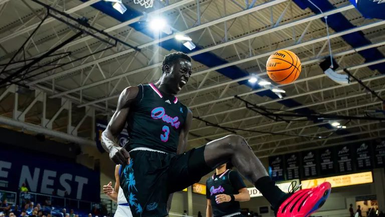 Owlflics of the Week