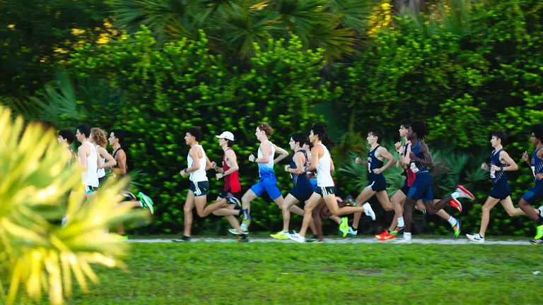 Four Owls Travel to Alabama for Southern Showcase