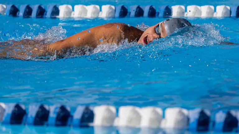 Swim and Dive Ready for Senior Day