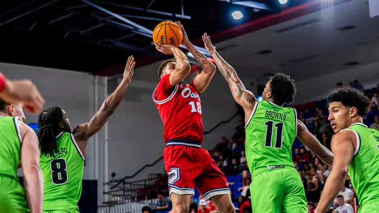 Owls On the Road for Two in Texas