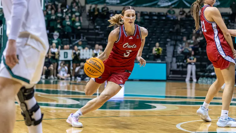 Owls Fall on Road at South Florida