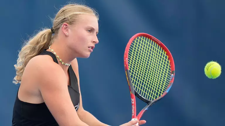 Owls Tamed by the Tigers