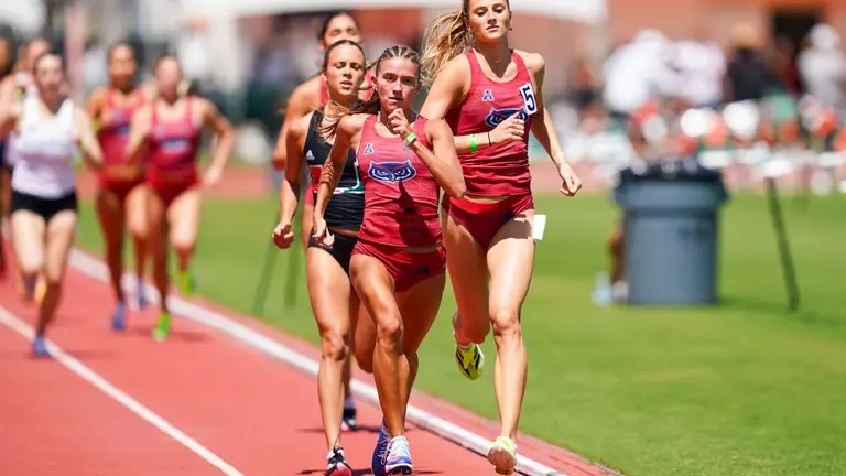 Owlflics of the Week