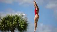 Owls Set for Zone B Diving Championships