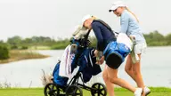 Owls Set for American Conference Championship
