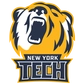 New York Tech Logo