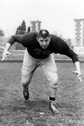 Joe Rutgens